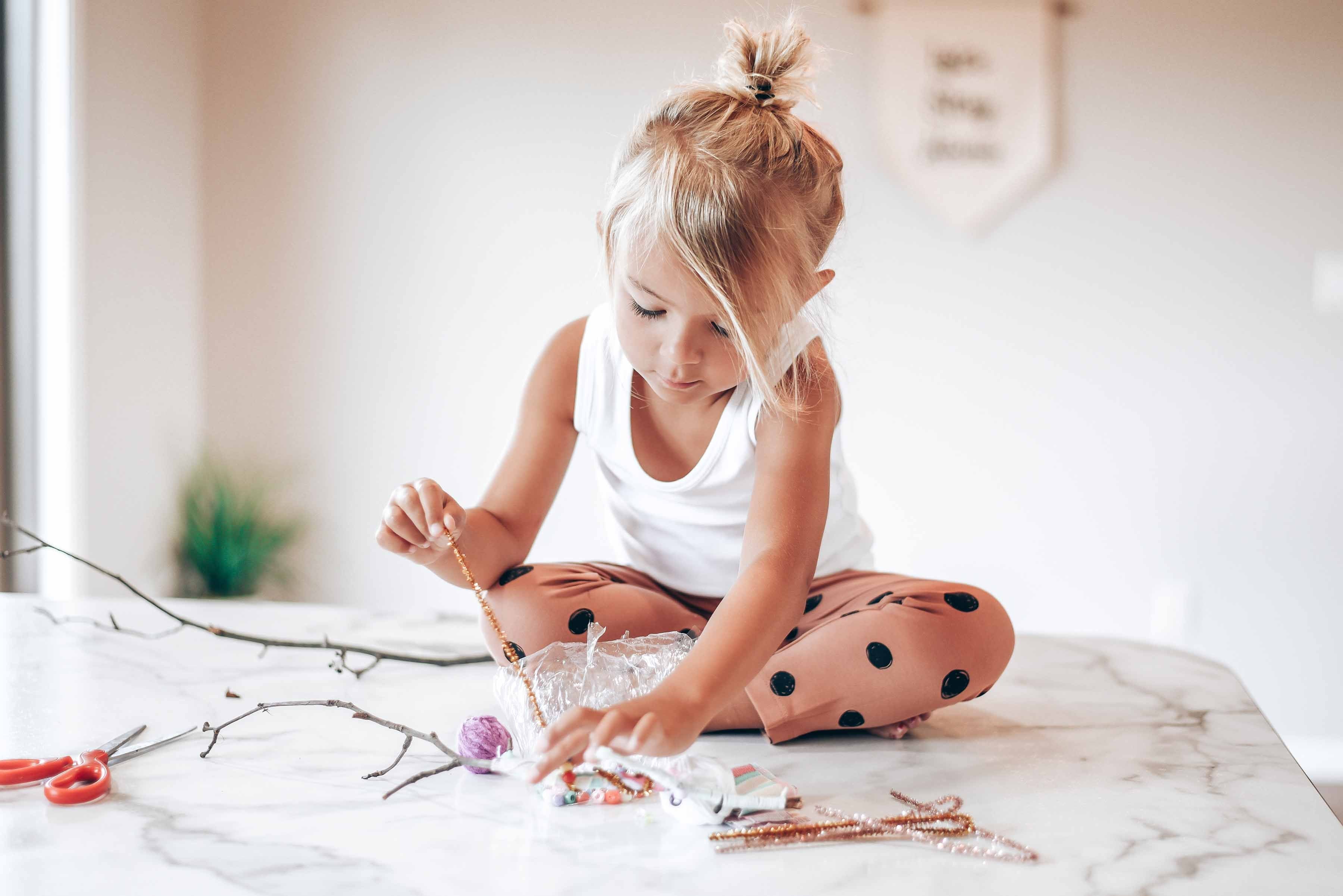 Sticks Craft Kit